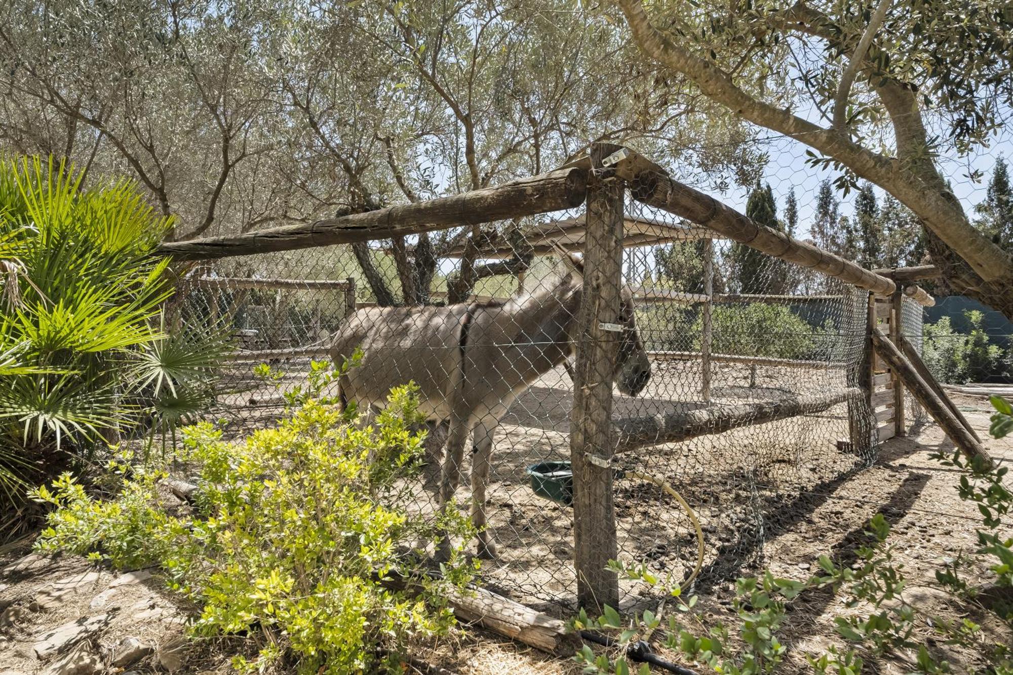 Cambiardeaires Rural Piedra Villa Pilar de la Horadada Luaran gambar